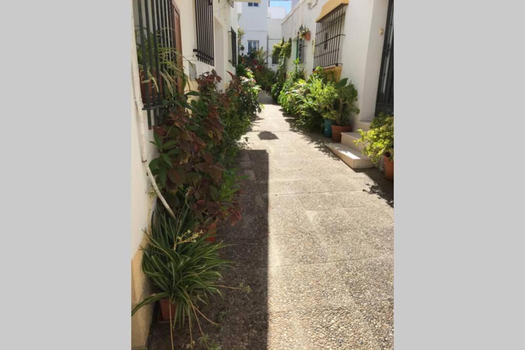 Apartamento Con Azotea Privada Para Parejas Y Familias Conil De La Frontera Extérieur photo